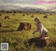 A woman kneeling down in a field with hay bales.