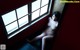Koharu Suzuki - Usa Download Bokep P6 No.087913